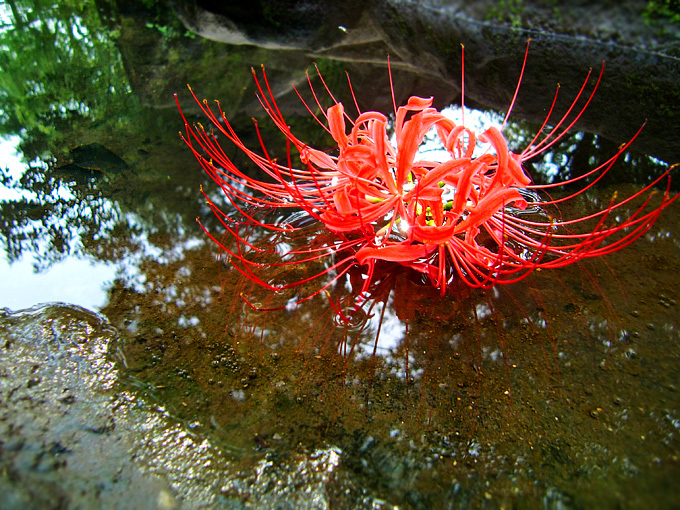 20110929.jpg