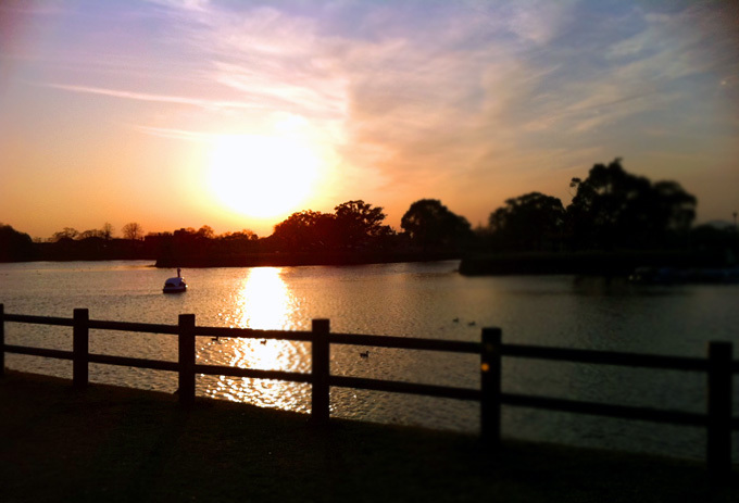 20120131.jpg