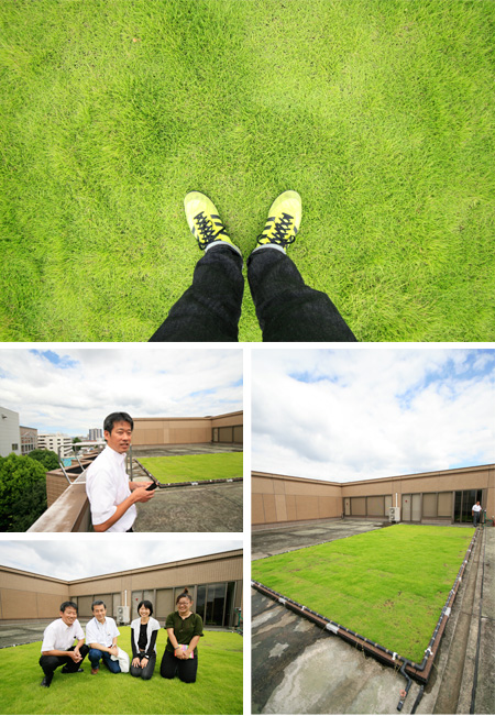 学園大の屋上緑化