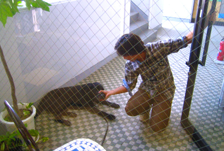 鹿子木社長とビッグがやってきた。1