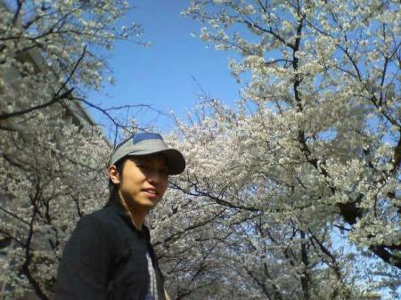 桜と松原