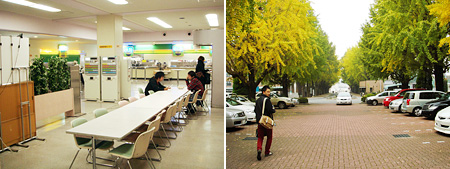 学園大の食堂とイチョウ