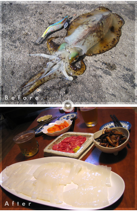駆け出しエギンガーのイカ料理