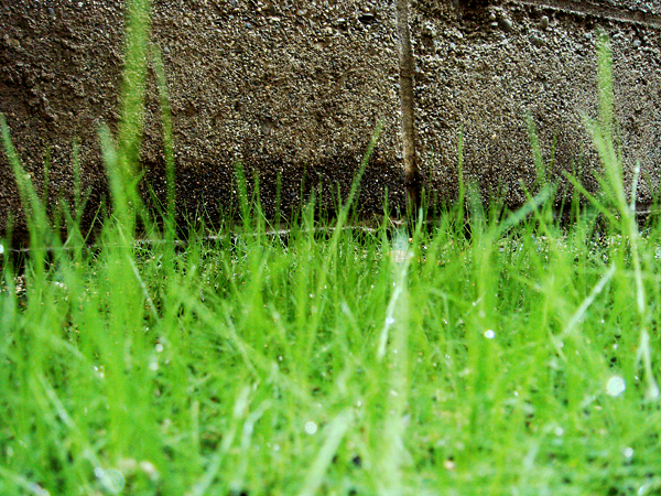 角度でのごまかし